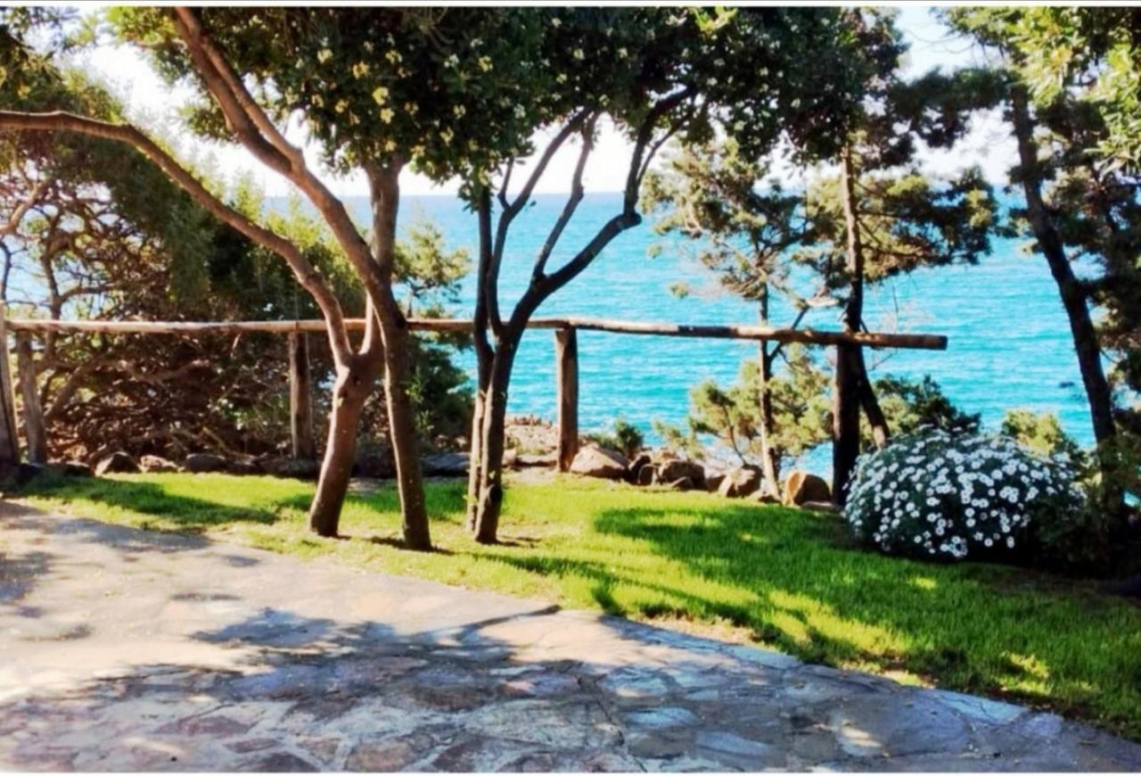 Villa Vera Trifamigliare Con Ingresso Diretto 20 Mt Al Mare Clima Wi-Fi Bbq Кала Либерото Екстериор снимка